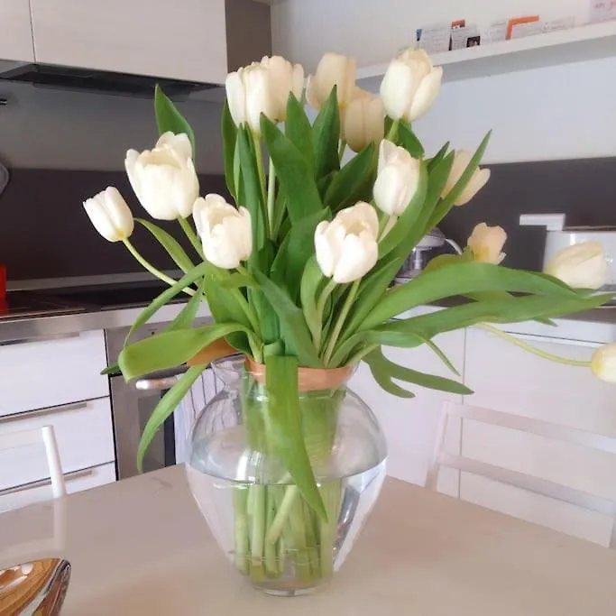 Ca' Martina Apartment Venice Italy